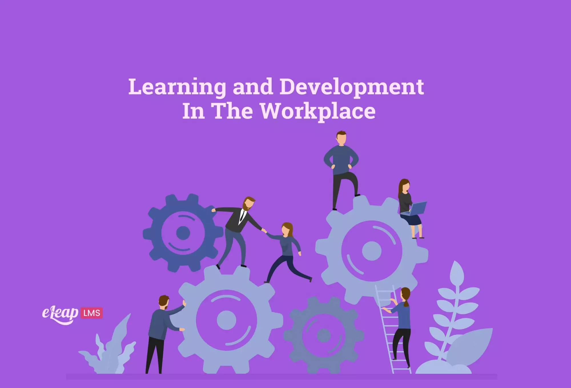 Learning And Development In The Workplace ELeaP